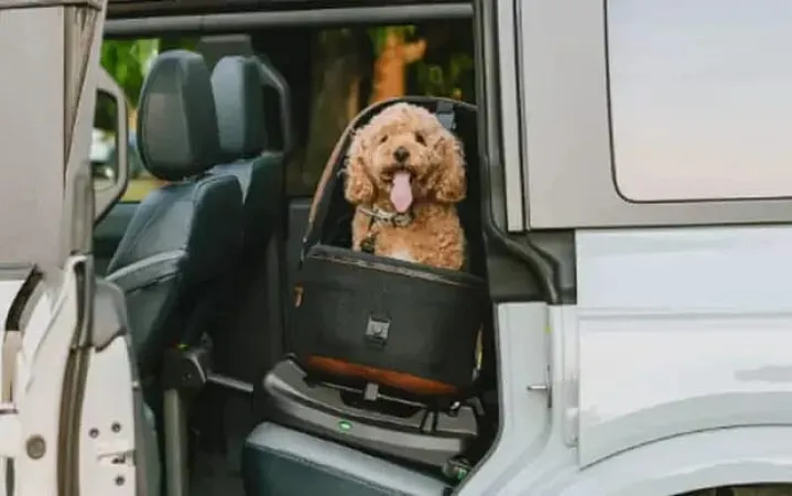 Win a Tavo Pets Maeve Pet Car Seat