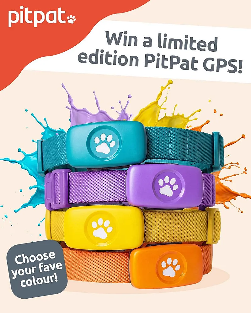 Win a PitPat GPS Dog Tracker