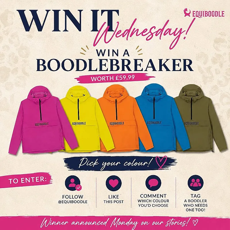 Win a Boodlebreaker worth £59.99