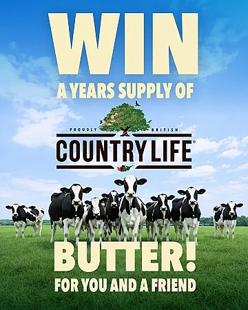 Prize image for Win a Year's Worth of Country Life Butter