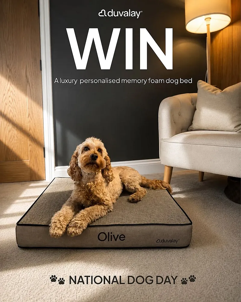 Win a personalised memory foam Duvalay dog bed