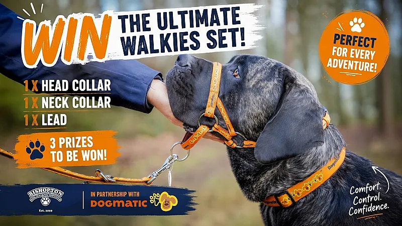 Win a Dogmatic Collection Set for Dogs