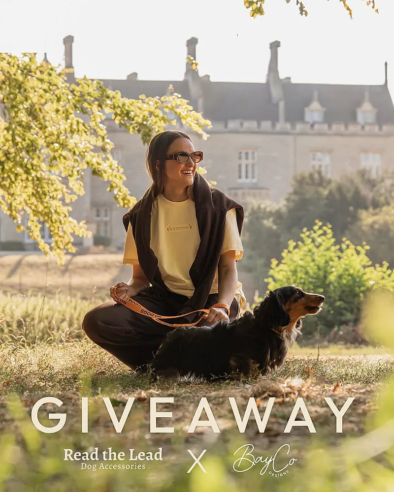 Win a Dog Lead and T-shirt