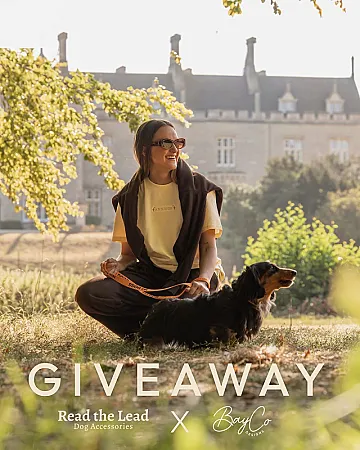 Prize image for Win a Dog Lead and T-shirt