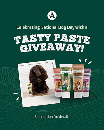 Prize image for Win a Bundle of Tasty Dog Paste