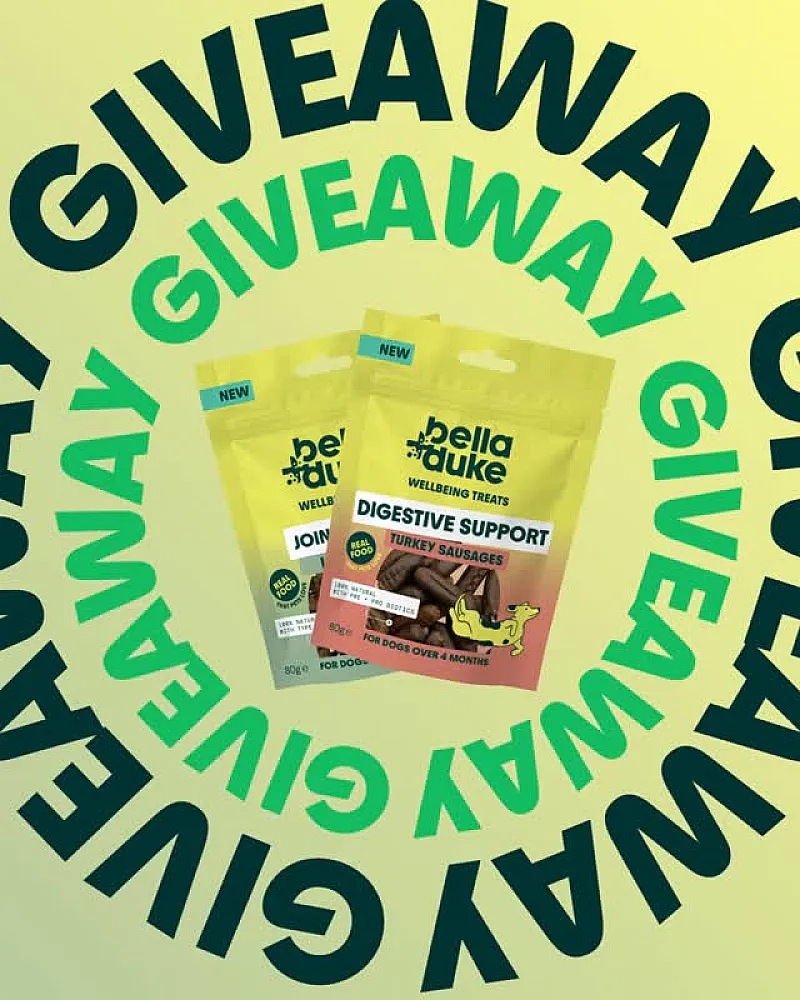 Win a Treat Bundle for Your Pup
