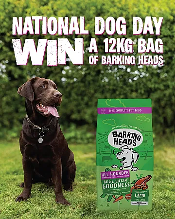 Prize image for Win a 12kg Bag of Dog Food