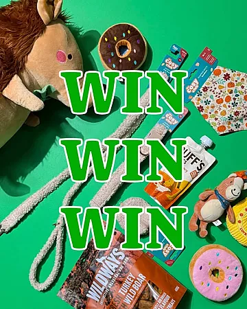 Prize image for Win a Dog Bundle!