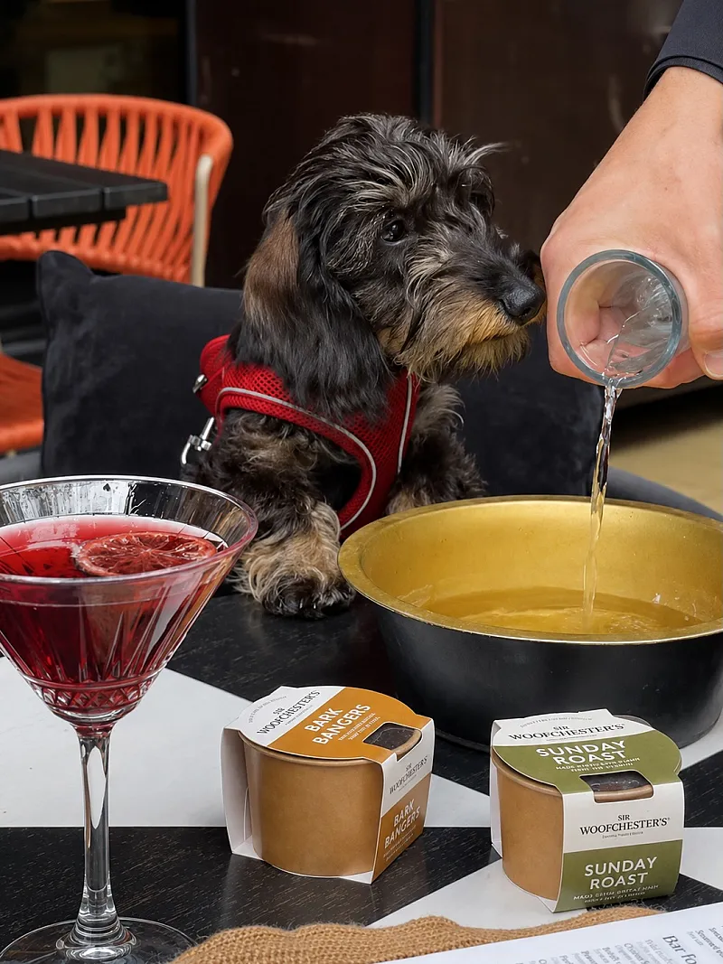 Win a Meal for 4 & Dog Hamper