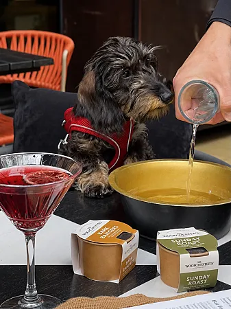 Prize image for Win a Meal for 4 & Dog Hamper