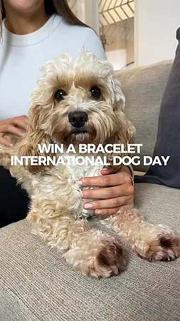 Prize image for Win a Paw & Initial Bracelet