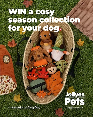 Prize image for Win a selection of our autumn collection for your dog