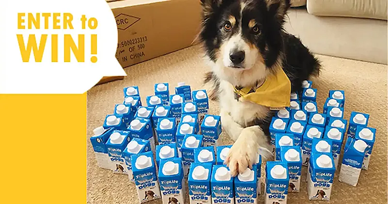Win A Month's Supply of TopLife Milk for Dogs