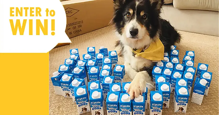 Prize image for Win A Month's Supply of TopLife Milk for Dogs