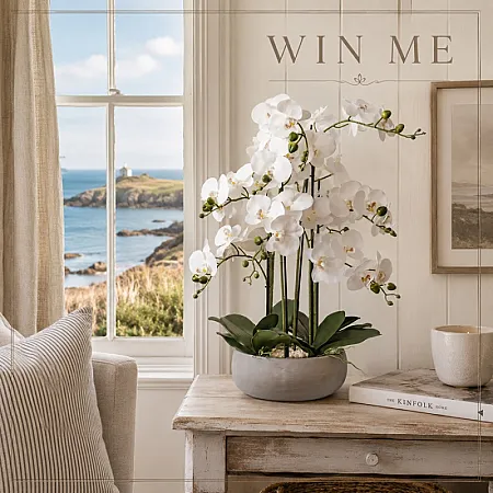 Prize image for Win a beautiful luxury faux orchid