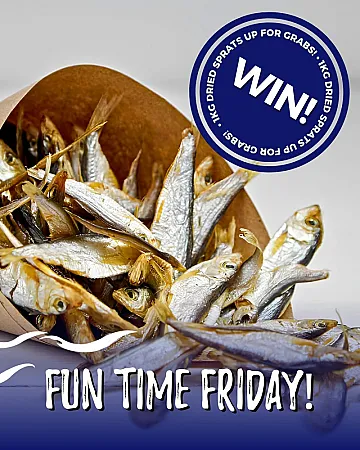 Prize image for Win a 1kg Pack of Dried Sprats