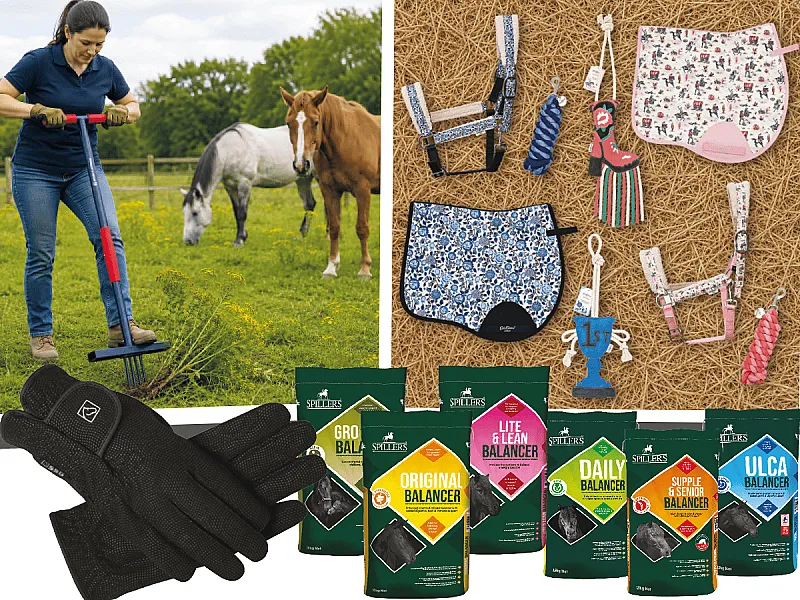 Win Horse Related Prizes