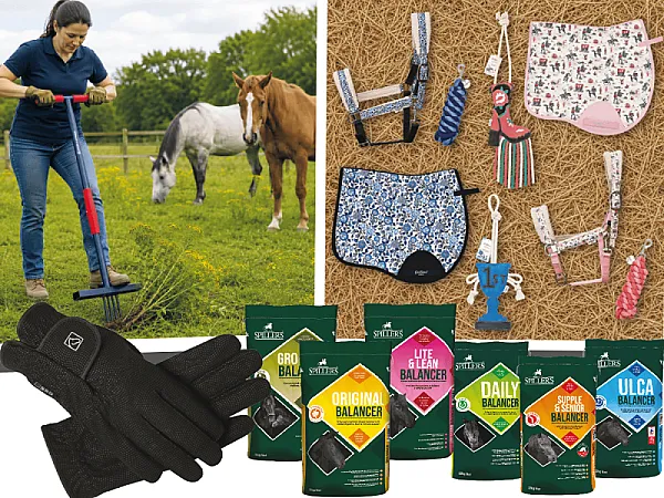 Win Horse Related Prizes