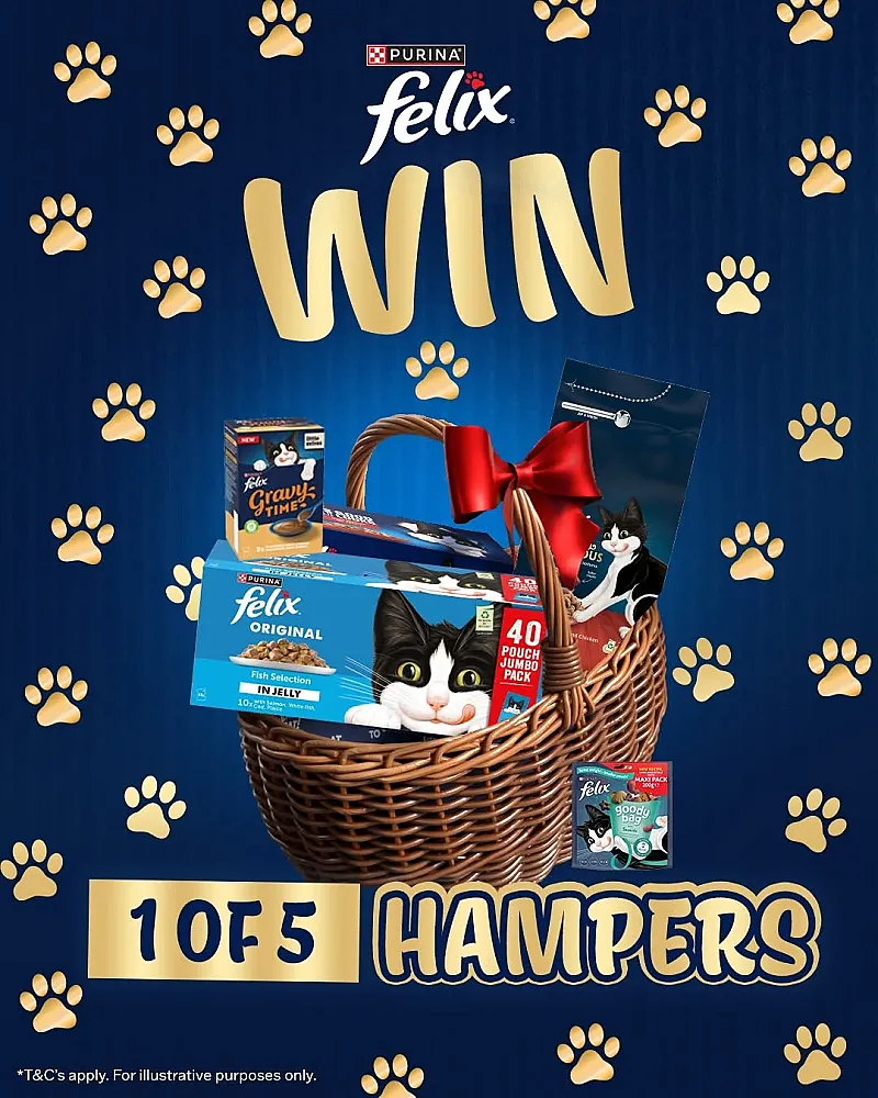 Win a Felix Hamper