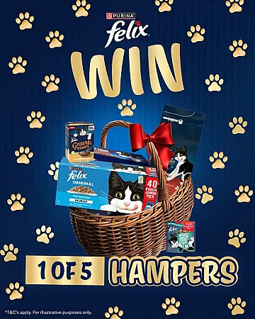 Prize image for Win a Felix Hamper