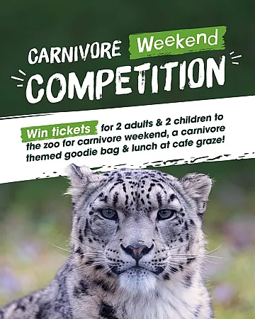 Prize image for Win a Family Day Out at Marwell Zoo's Carnivore Weekend
