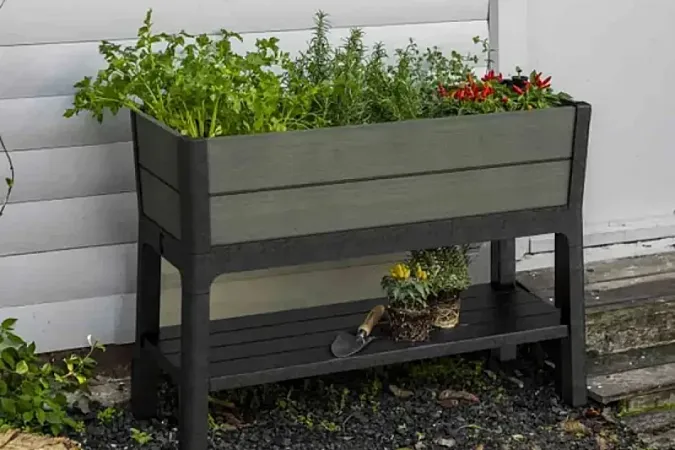 Win a Keter Darwin Garden Bed Pro
