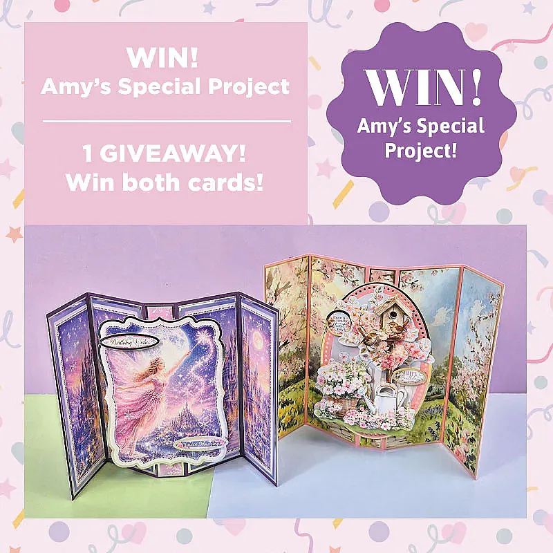 Win Amy's Special Project Issue 91