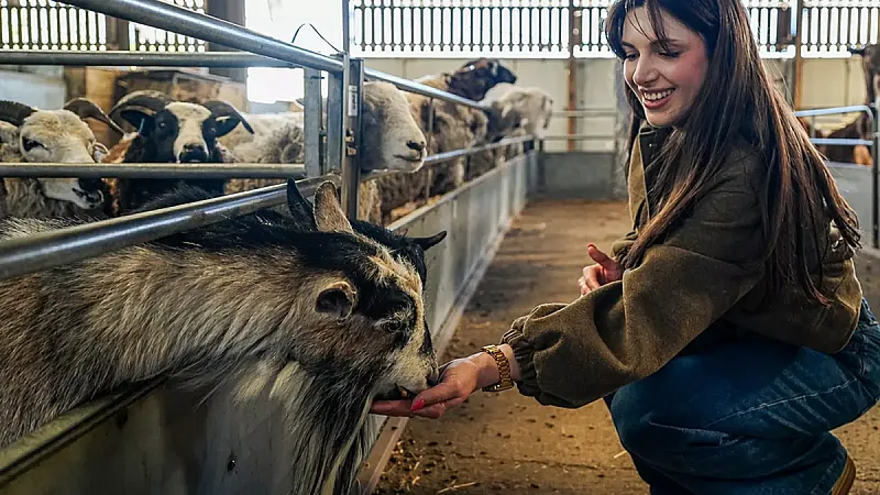 Prize image for Win a Family Day Ticket to Odds Farm Park