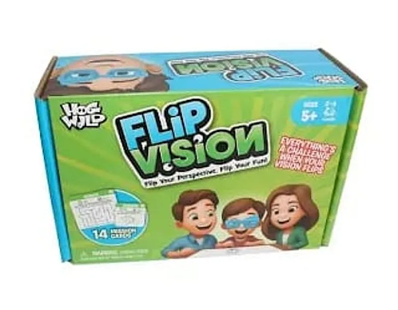 Win a Flip Vision