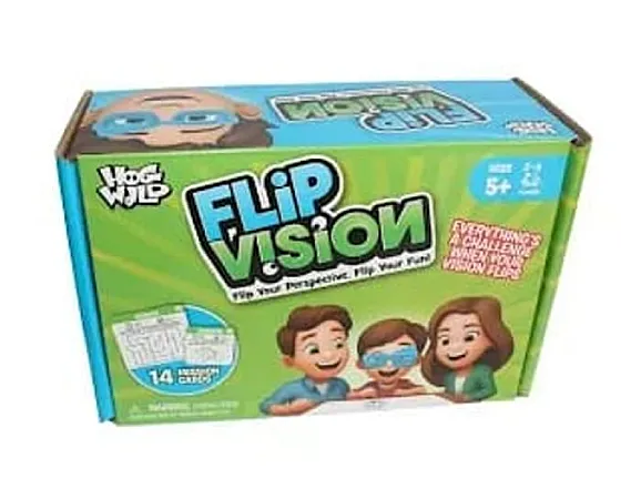 Win a Flip Vision