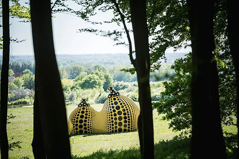 Win The Ultimate Sussex Art & Wine Escape