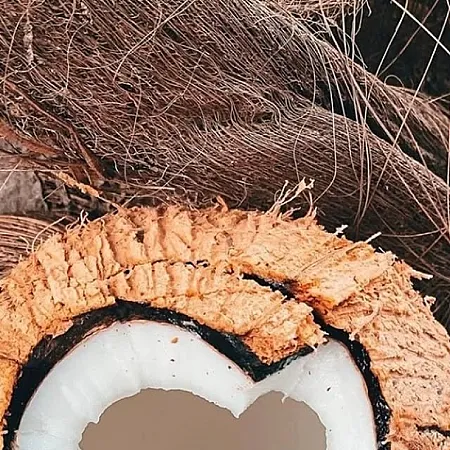 Prize image for Win a Bottle of Aluna Coconut Rum