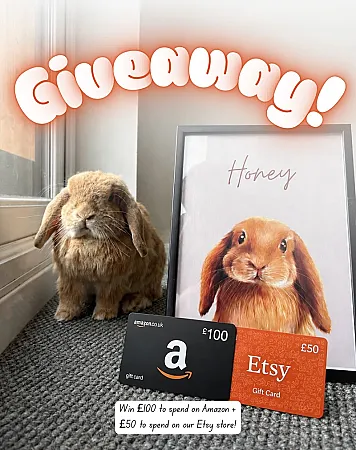 Prize image for Win £100 Amazon voucher & £50 Etsy voucher