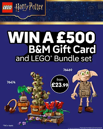 Prize image for Win a £500 B&M Gift Card & LEGO Bundle Set