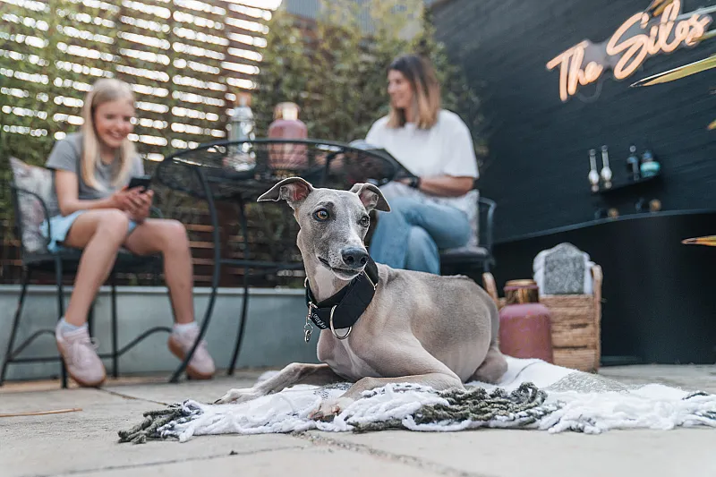 Win a £500 Dog Friendly Stay Voucher