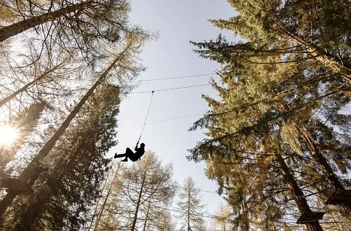 Win a forest adventure, wildlife safari and country inn stay