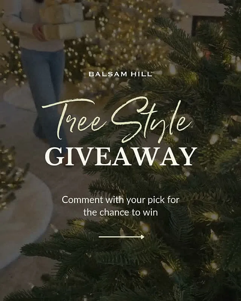 Win a Balsam Hill Branch Sample Kit Worth £200