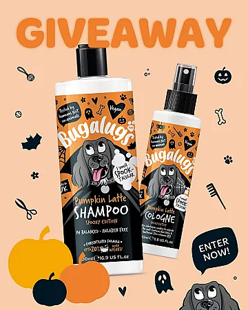 Win Bugalugs Dog Shampoo & Cologne Set