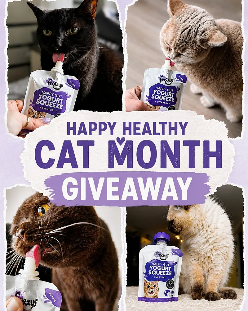 Win 10 pouches of Frozzys yogurt squeeze for cats