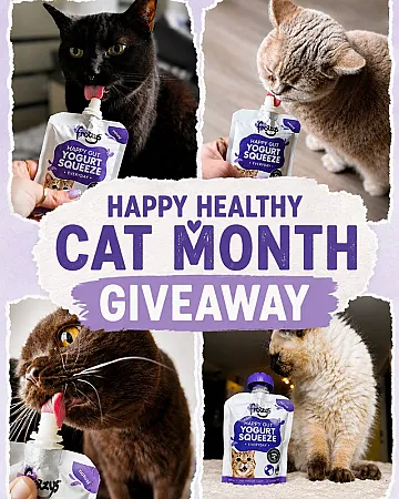 Prize image for Win 10 pouches of Frozzys yogurt squeeze for cats