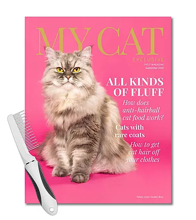 Prize image for Win Catit Top 'n' Treat Variety Packs
