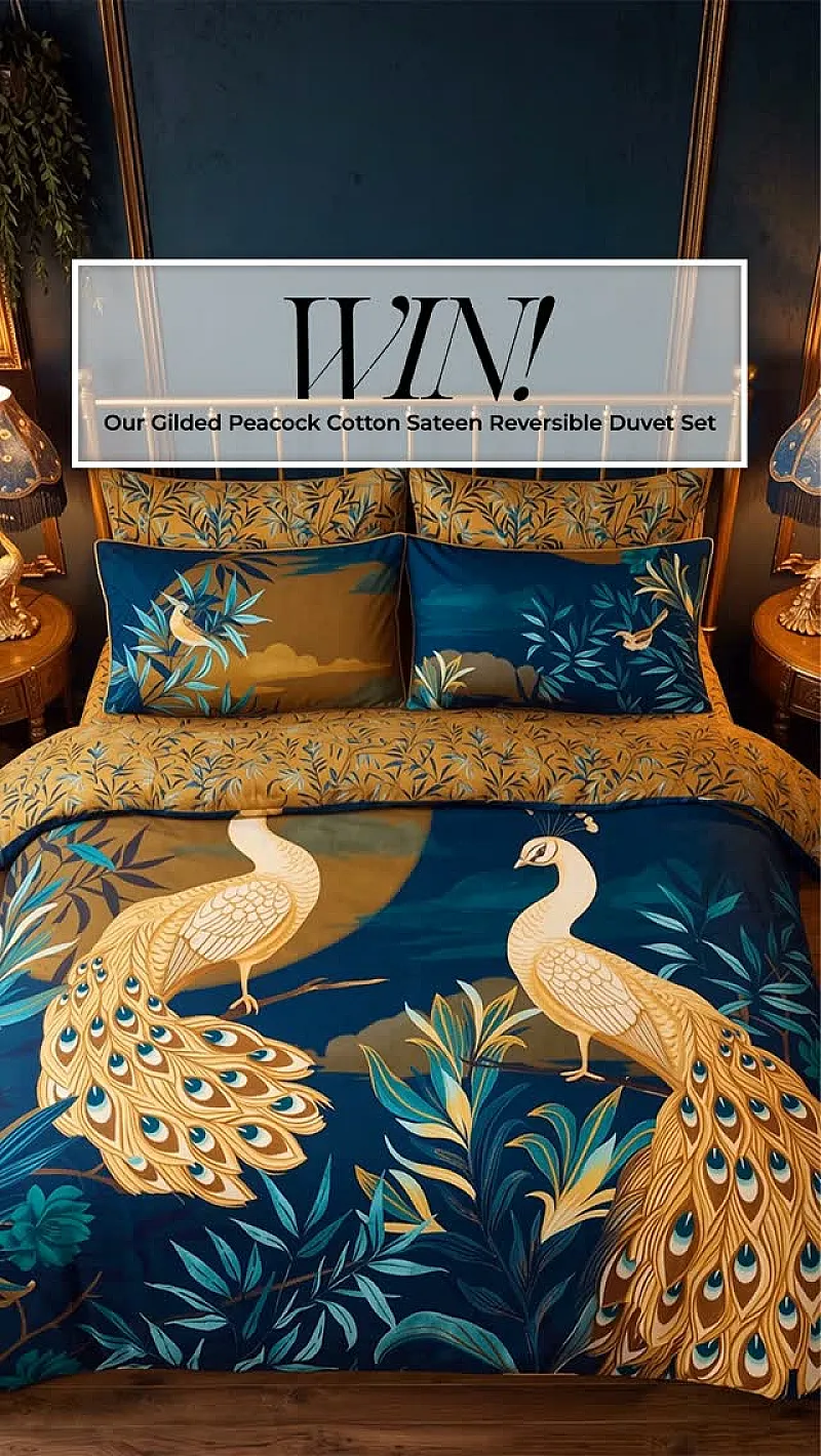 Win a Joe Browns Gilded Peacock Cotton Sateen Reversible Duvet Set