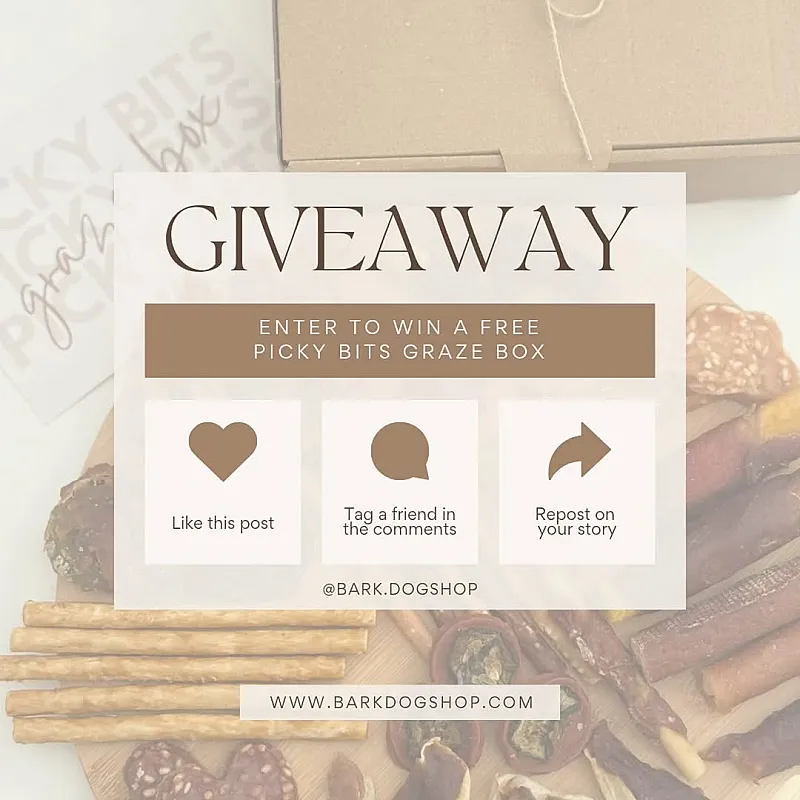 Win a Picky Bits Graze Box for Your Dog