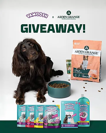 Prize image for Win a Dog Food & Vamoosh Cleaning Bundle
