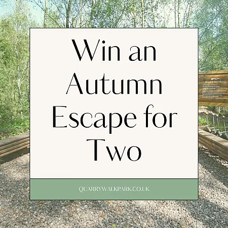 Win a Cosy Glamping Escape for Two