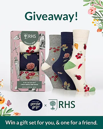 Prize image for Win 2 x Royal Horticultural Society gift boxes