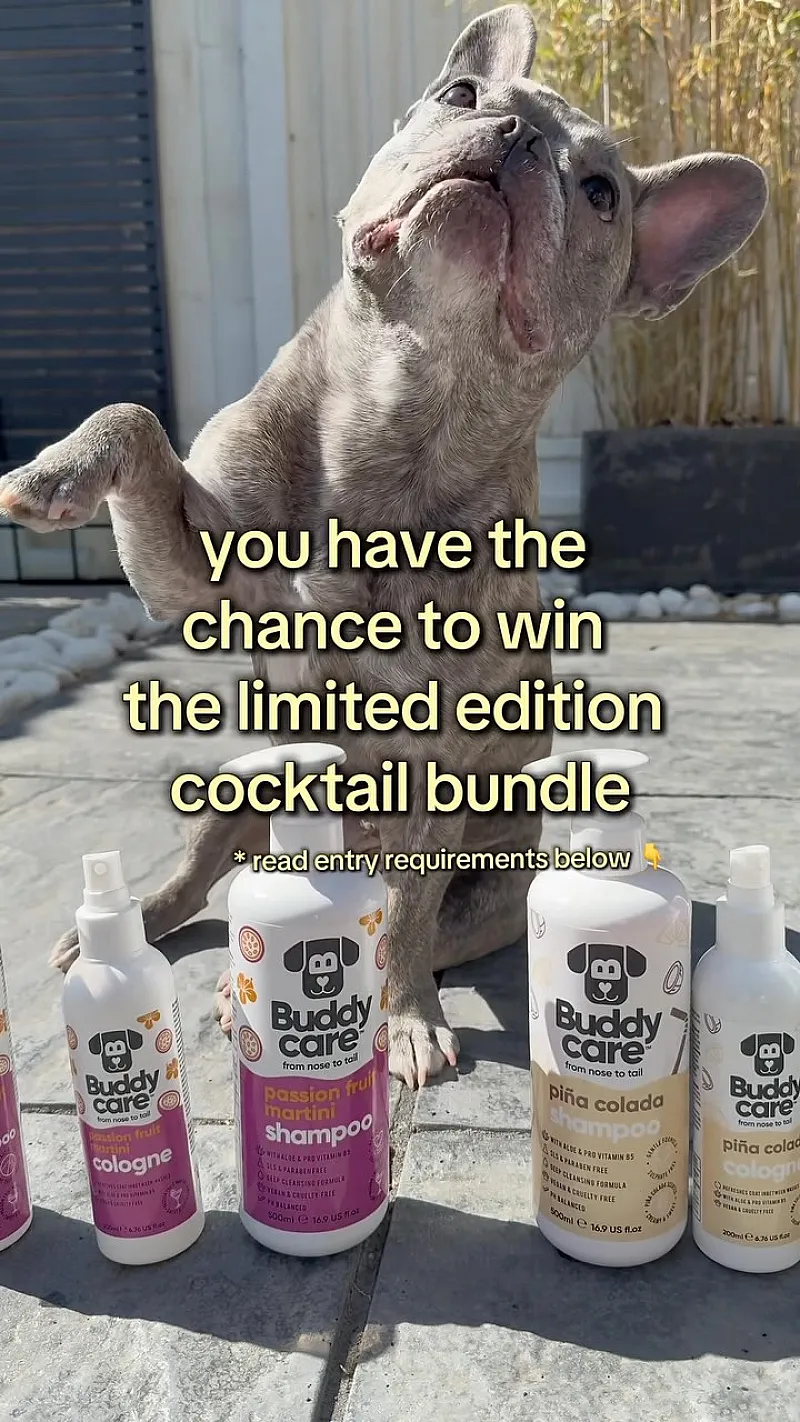 Win Limited Edition Cocktail Dog Cleaning Products