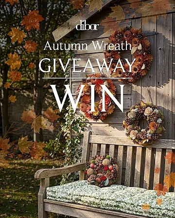 Win a Premium Autumnal Wreath