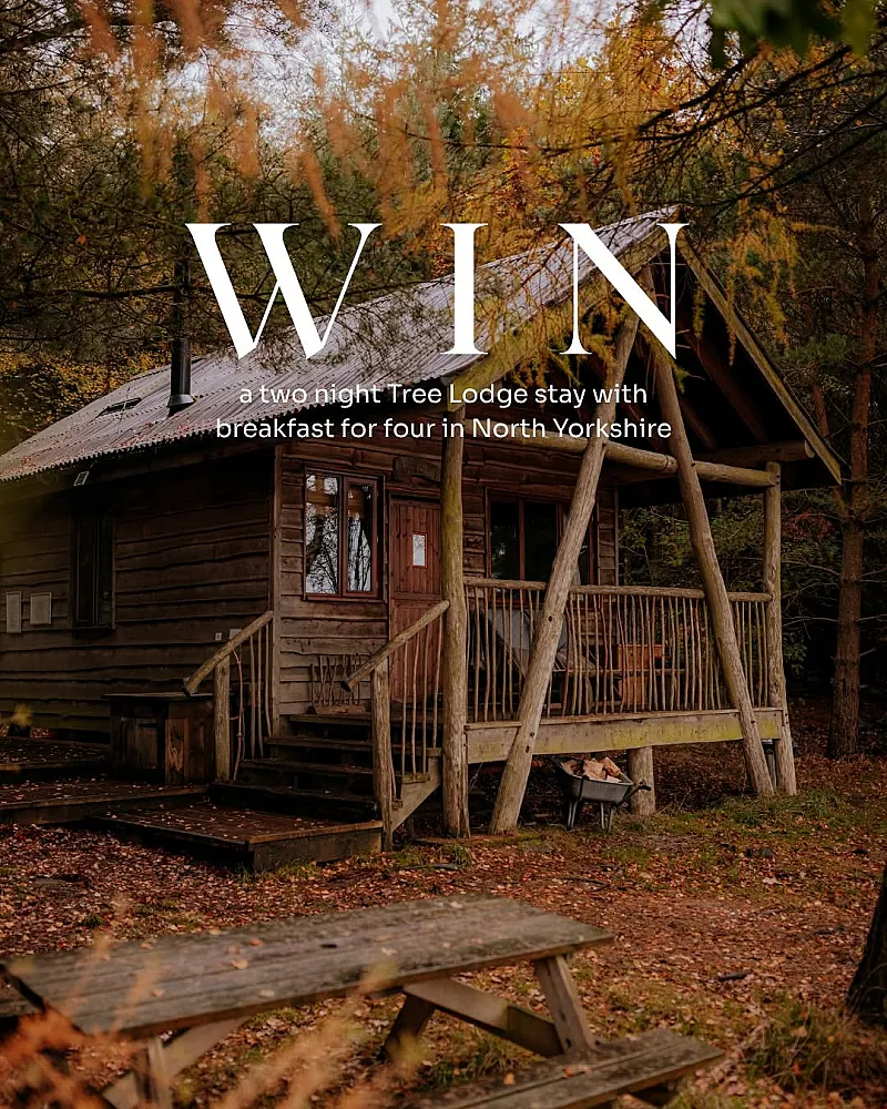Win a Two-Night Midweek Stay in a Tree Lodge in North Yorkshire