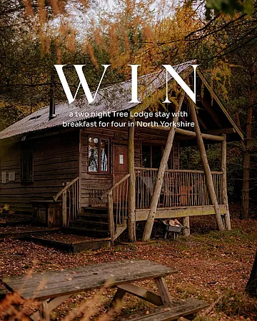 Win a Two-Night Midweek Stay in a Tree Lodge in North Yorkshire